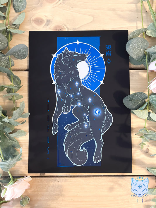 Lupus - A4 or A5 Blue Foil Print